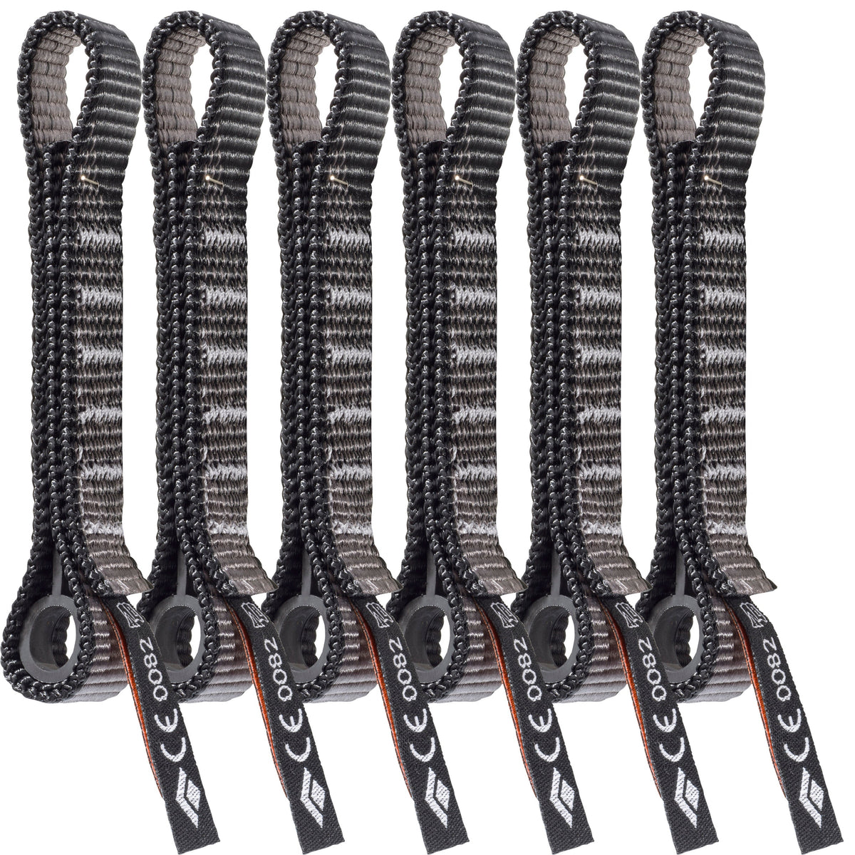 Standard Dogbone 12 cm 6 Pack