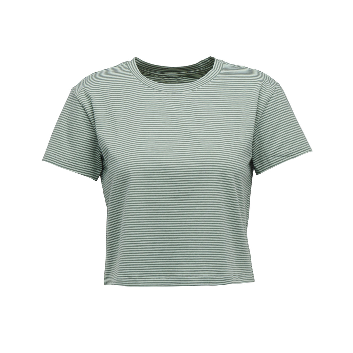 Women's BD Stripe Crop Short Sleeve Tee