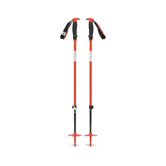 Traverse Ski Poles - Past Season