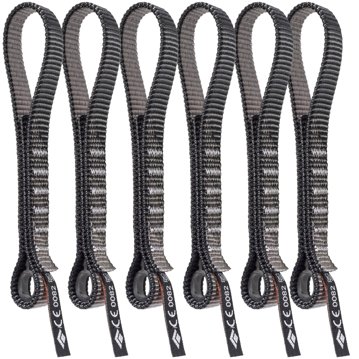 Standard Dogbone 16 cm 6 Pack
