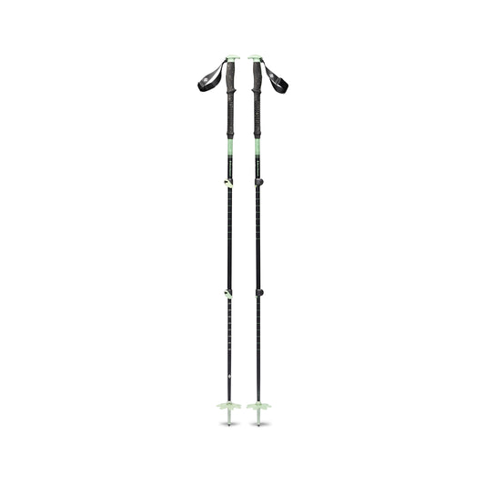 Expedition 3 Ski Poles